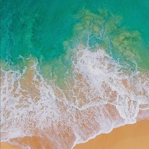 Meet your Posher, Dylan